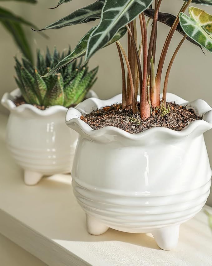 Ceramic Planter, 2 Piece Ceramic Planter Set with Drainage Hole for Home and Office, Indoor Plant Potting, Suitable for Succulents, Bonsai, Snake Grass and Money Tree, etc. (White)