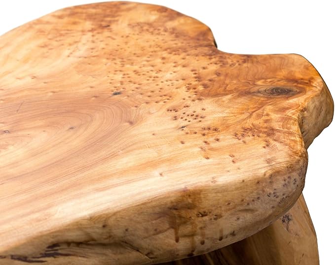 TJ Global Natural Edge Cedar Wood Tree Stump Indoor/Outdoor Stool, Garden Bench, Night Stand, End Table, Plant Stand - L20 x W11 x H17