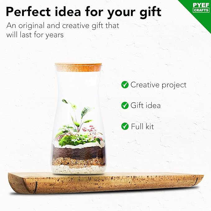 DIY Terrarium Kit for Adults – Build Your Own Self‑Sustaining Closed Ecosystem – 34 fl oz (1‑Liter) Glass Terrarium – Succulents, Air Plants, Fittonia, Fern – Plants Not Included