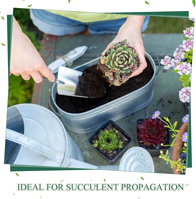 Nuanchu 500 Pack 2 Inch Square Nursery Pots, Small Plastic Seedling Pots with Drainage Holes, Mini Planting Planters for Garden Outdoor Indoor Flower Succulent Vegetable Starting Seedlings, Black
