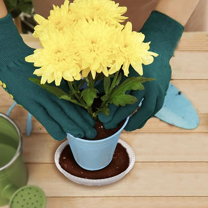 6 Pack of 14 Inch Clear Plant Saucer, Durable Plastic Plant Trays for Indoor, Flower Plant Pot Saucer, Sturdy Plant Water Catcher Tray