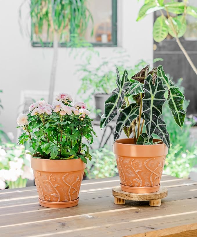 Melphoe Plant Pots Indoor with Drainage & Saucer, 2Pack 8 inch Flower Pots Outdoor Planters for Indoor Plants Garden Home Decor Cactus Succulent, Rigid Plastic (Imitation-Terracotta) Vine-Embossed