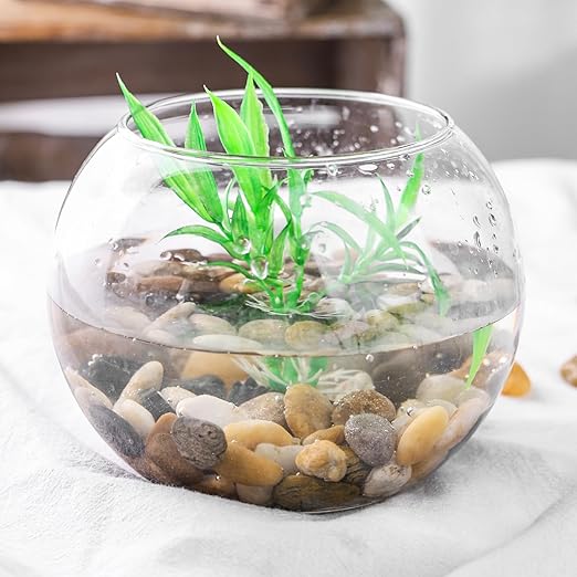 DomeStar River Rocks for Landscaping, 2lb Decorative Ornamental Pebbles Garden Landscaping Stones Gravel for Vases Fish Tank Succulent Potted Indoor Plants Crafts Home Garden Decor