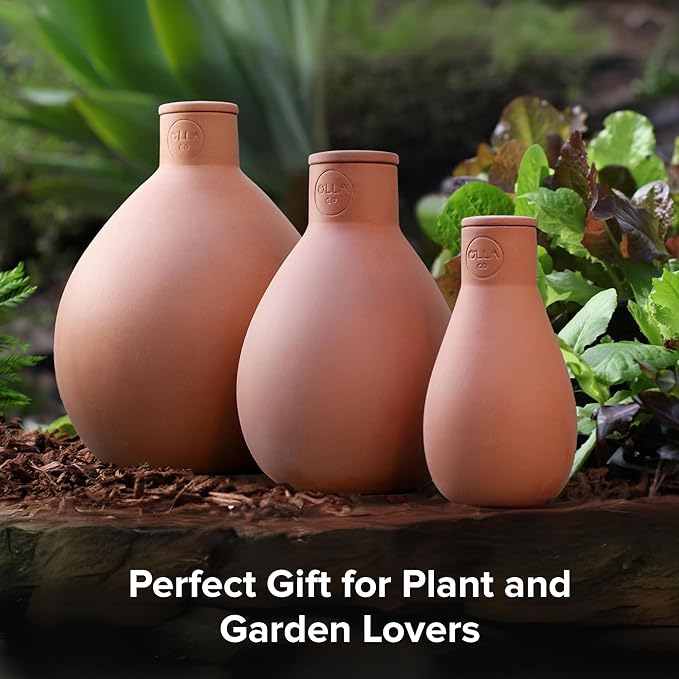 Classic Olla Watering Pot with Lid - Terracotta Self Watering Irrigation up to 2 ft in Diameter for Gardens, Raised Beds, and Pots - Vacation Friendly - Small