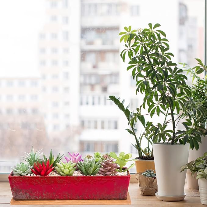 ARTKETTY Succulent Pots - Large Succulent Planter Pots with Drainage, 12 Inch Long Rectangle Bonsai Pot with Bamboo Tray Shallow Ceramic Cactus Flower Planter Window Box for Home Garden Decor (Red)