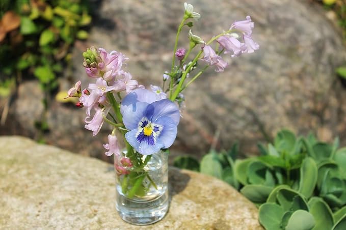 WGVI Quality Thick Clear Cylinder Glass Vase, 3" W x 5" H, Floral Container, Glass Candle Holder, Flower Vases, Wedding Centerpiece, Table Top Home Décor Accent, in Bulk Wholesale, 12 Pieces