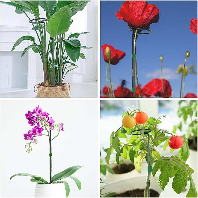2 Pack Flower Support Stakes, 3 Sizes (12 or 24 or 36 Inch) Garden Plant Stick, Plant Stake Support Ring For Indoor Outdoor With Plant Ties, Amaryllis Support Stakes, Climbing Plants, Tomato