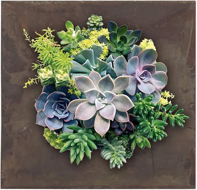 Modern Home Living Wall Galvanized Steel/Zinc Succulent Planter, Wall Mounted Garden Pocket Planter (4 Pocket, Rust Zinc)