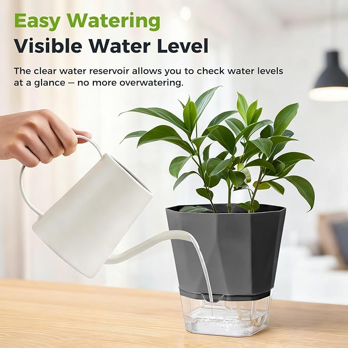6 Pack Self Watering Plant Pots 8.4" Self Watering Planters for Indoor and Outdoor Plants African Violet Self Watering Clear Pots for Plants Large Herb Orchid Flower Houseplant Pots, Dark Grey