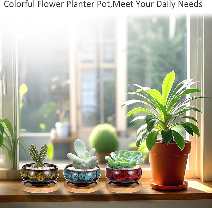 12 Pcs Ceramic Succulent Garden Pots Succulent Small Plant Cactus Planter Ceramic Pot with Drainage Hole and Bamboo Tray Matte Round Container (2.5 Inch)