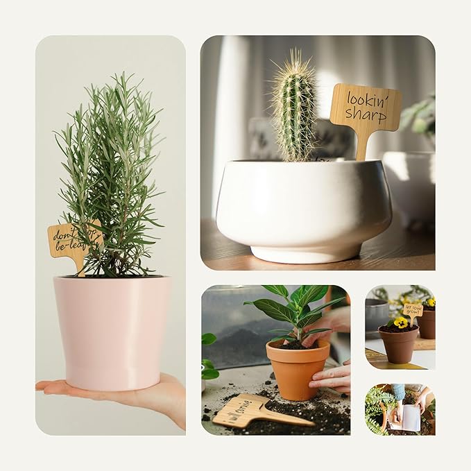 Bamboo Plant Labels, Eco-Friendly Garden Tags | 7" Long T-Type Wooden Garden Markers | 100% Natural, Biodegradable | for Labeling Herbs, Seedlings, Vegetables, Cheeses, Appetizers, Desserts | 50 pcs