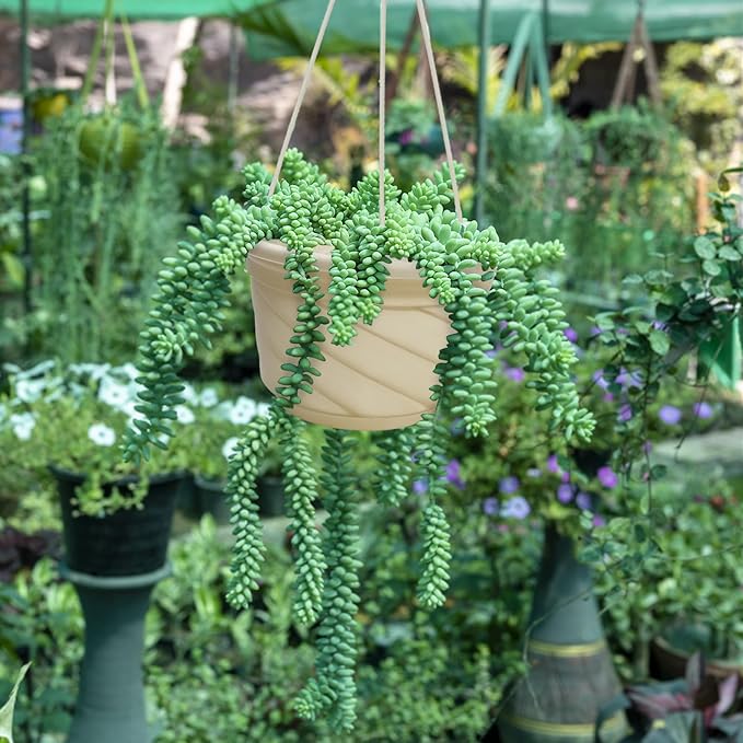 58 Pcs Plastic Hanging Planter Set with 2 Sets Potting Tools, Indoor Outdoor Flower Containers with Hooks Round Hanging Pots for Plants, Balcony and Garden Decor