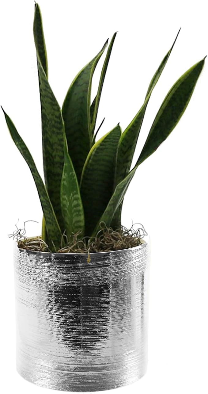 WGVI Silver Etched Ceramic Cylinder Vase Width 6.5" Height 6", Flower Arrangements, Candle Holder, Terrarium Planter Pot, Storage Container Organizer, Pen Brush Holder, Scratched Texture Design, 6 Pc