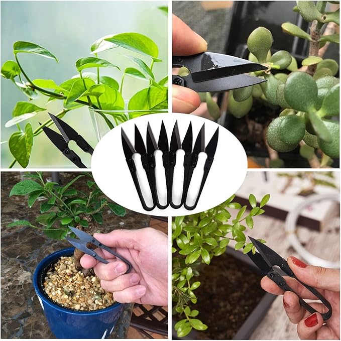 JINJIAN Bonsai Pruning Scissors 12PCS - Small Pruning Shears Bud Leaves Trimmer Garden Shears for Plants, Gardening Clippers for Flower Bonsai Trimming Pruners