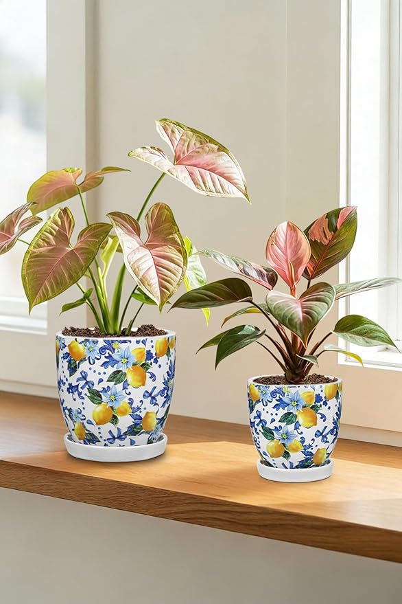 5.3+4.3 inch Ceramic Plant Pots, Set of 2 Blue and White Plant Pot with Drainage Holes and Saucers Small Lemon Indoor Planters Decorative Flower Pots for Succulents, Cacti, Snake Plants, and Herbs
