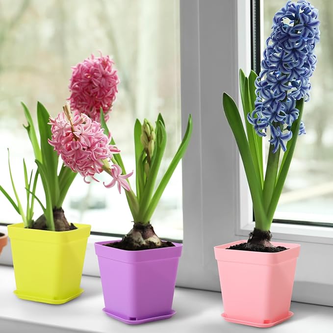 Tioncy 100 Pcs 3 Inch Mini Plant Pots with Tray, Colorful Plastic Plant Pots Flower Seedling Pots Nursery Pots with Saucers for Garden, Indoor Outdoor, Home, Office, Balcony Decor