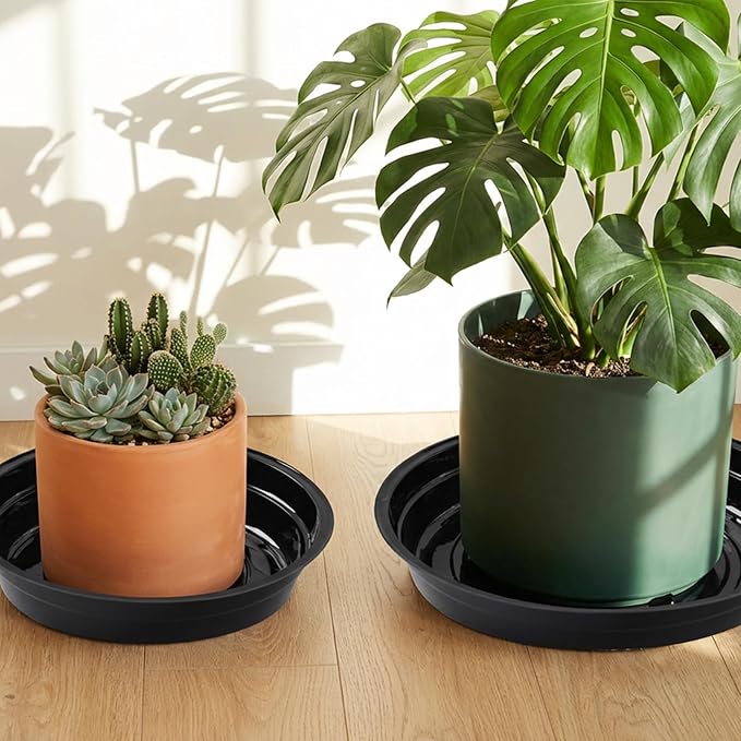 TRUEDAYS 20 Pack Black Plant Saucers β 4 Sizes (6"/8"/10"/12") Plastic Flower Pot Trays for Indoor & Outdoor Plants, Drip Trays to Protect Floors & Surfaces