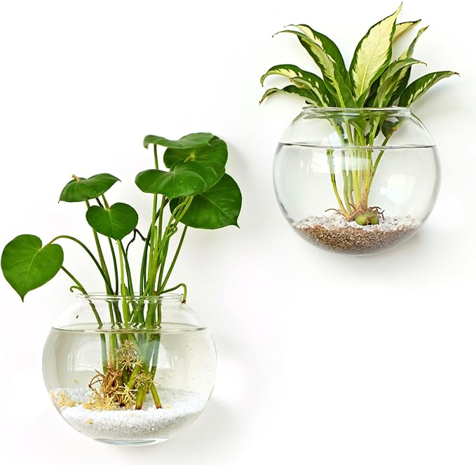 DomeStar 2PCS Wall Flower Vases, Wall Hanging Glass Planter Propagation Station Mounted Vases for Hydroponics Plants Propagation Living Room Office Home Decor