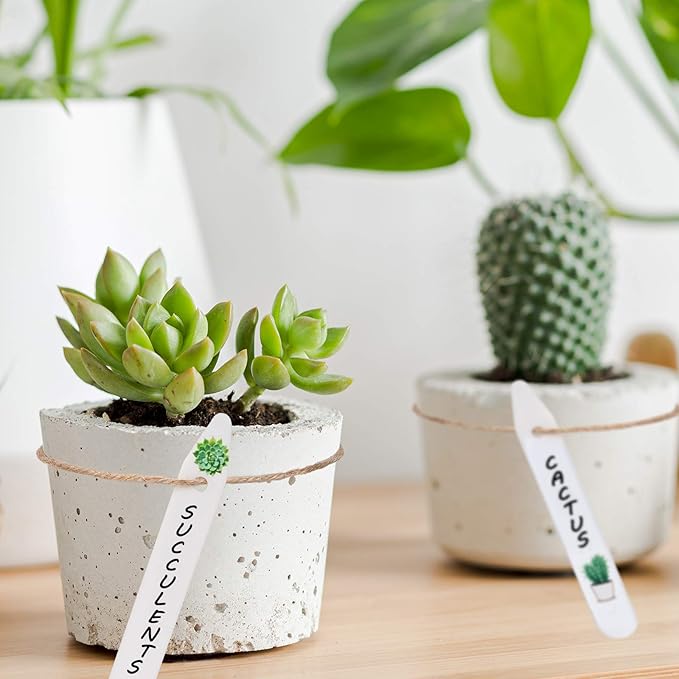 Whaline 200Pcs Thick Plastic Plant Label with Hole, White Waterproof Garden Stake Tags with 2 Marker Pen and A Roll of Twine(6 Inch)