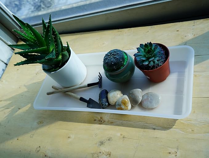 2 Pack of Plastic Plant Tray Saucer Rectangular, Plant Trays Saucers for Indoors Outdoor, Plant Water Drip Tray for Flower Pot Planter, Windowsill Plant Tray (6.5 X 13 Inch, Clear)