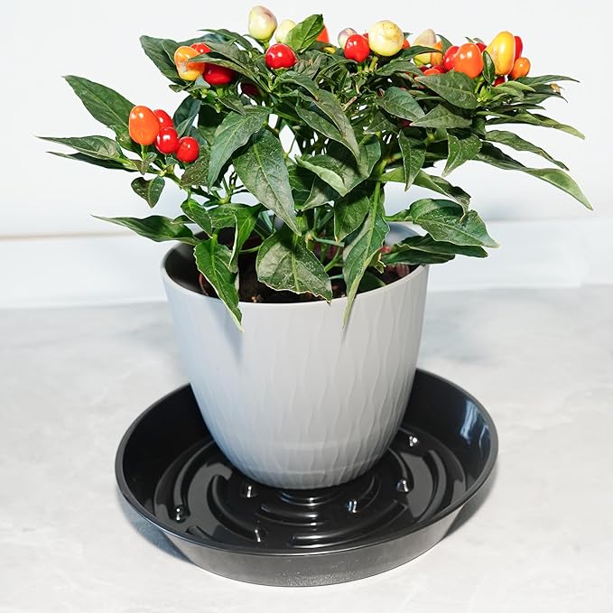 10 Packs Plant Saucer Pot Tray, 6 8 10 inch Flower Planter Saucers and Drip Trays, Plastic Flower Planter Saucers for Indoors Outdoors, Heavy Durable Plant Plate Water Catcher, Black