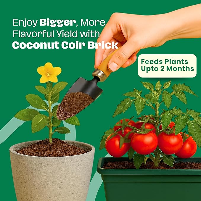 Gro-Med Coco Coir Brick 10 lbs – Expands to 80 Quarts – NPK Enriched Organic Coconut Coir – Potting Soil for Indoor Outdoor Plants, Seed Starter, Vegetables, Mushrooms, Gardening Use