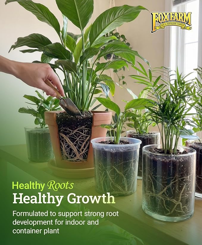FoxFarm Grow Big Liquid Plant Food - Bloom Fertilizer for Flowers, Fruits, and Vegetables, Perfect for Indoor & Outdoor Potted Plants, NPK 6-4-4 (Gallon)