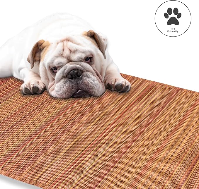 Fab Habitat Stripe Coastal Colorful Outdoor Rug - Waterproof, Crease-Free Fade Resistant, Reversible - Recycled Plastic - Patio Porch Balcony Deck Yard Garden - Cancun Terracotta - 4x6 ft