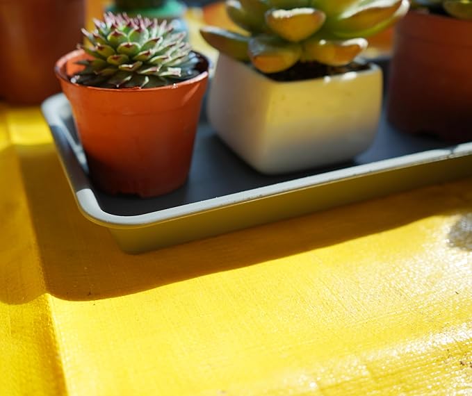 2 Pack of Plastic Plant Tray Saucer Rectangular, Plant Trays Saucers for Indoors Outdoor, Plant Water Drip Tray for Flower Pot Planter, Windowsill Plant Tray (6.5 X 13 Inch, Gray)