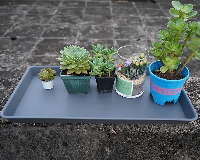 4 Pack Plant Saucer Tray Rectangular, Plant Saucers for Indoors, Heavy Sturdy Plastic Plant Drainage Trays, Plant Drip Trays for Pots, Seed Starter Growing Tray (11 x 9 inch, Gray)