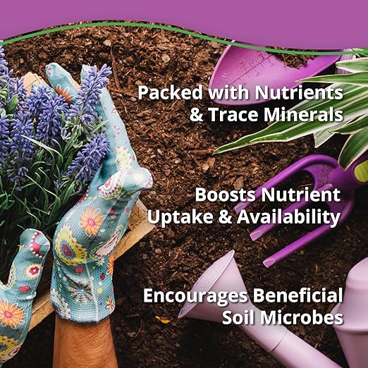 Kelp Bliss (10lbs) - Kelp Meal Organic Fertilizer for Plants, Garden Soil, Flowers, Vegetables, & Lawns - Organic Kelp Fertilizer & Soil Amendment - Natural Plant Food Rich in Vitamins & Nutrients