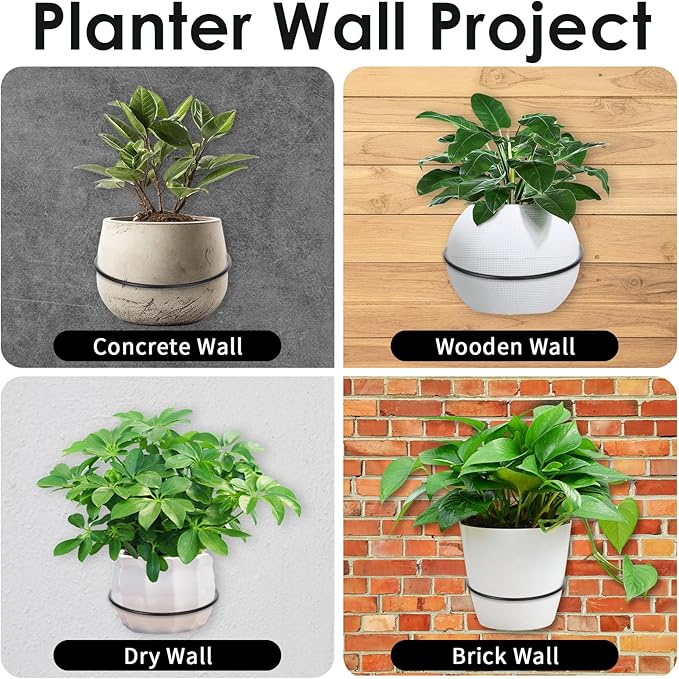 8 Pack 6 Inch Flower Pot Holder Rings, Wall Mounted Metal Planter Hangers with Screws, Indoor Outdoor Plant Stand Hanging Brackets for Garden Decor