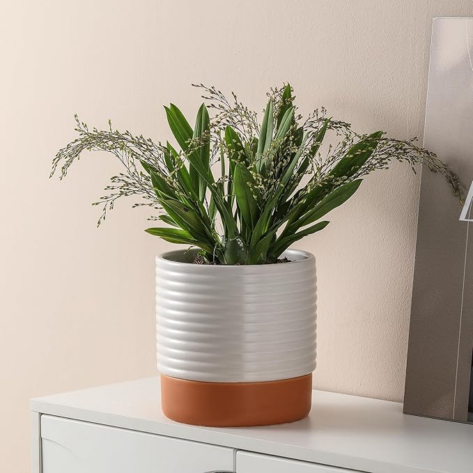 Self Watering Plant Pot : 8 Inch Ceramic Planter with Drainage Hole & Water Storage Plus - Flowerpot for Indoor & Outdoor Plants (Cream White & Red-Brown)