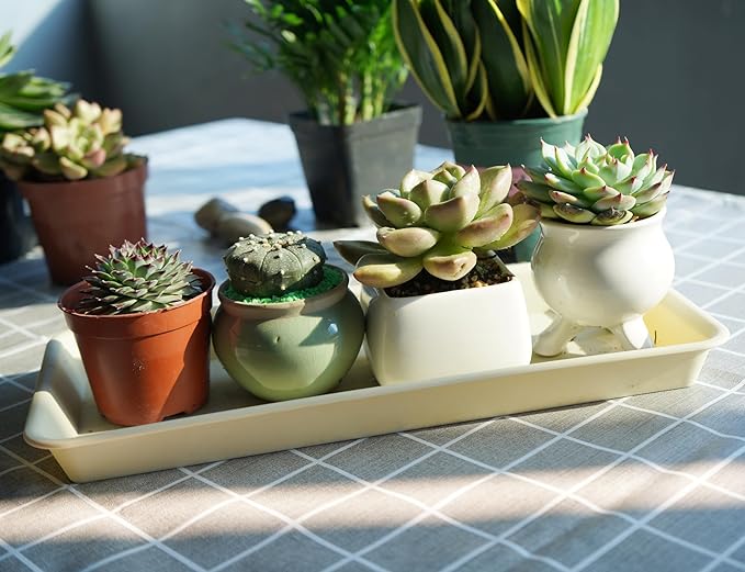 4 Pack of Plastic Plant Tray Saucer Rectangular 16 inch, Plant Trays Saucers for Indoors Outdoor, Plant Water Drip Tray for Flower Pot Planter, Windowsill Plant Tray (7.0 X 16.1'', Beige)