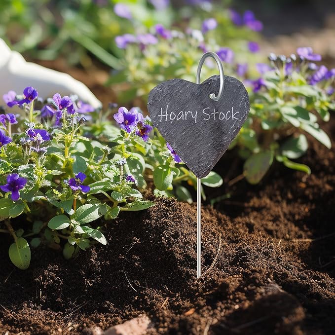 20Pack Silver Plant Label Hooks,Rust-Proof Garden Stake Markers, 30cm/11.81in Plant Sign Supports for Flowers, Planters, and Containers.
