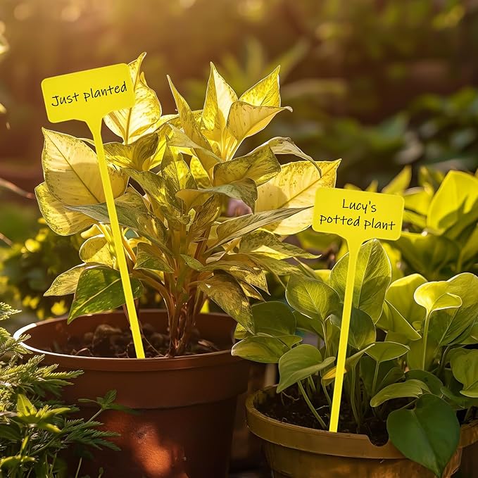 Plant Labels,60PCS Yuanling T-Type 11.4" Large Plastic Plant Tags Waterproof Plant Makers Nursery Garden Labels for Outdoor Indoor Plants Herbs Flowers Vegetable Potted Belt Marker Pen (Yellow)