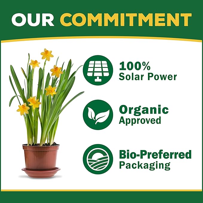 Espoma Organic Plant-Tone 5-3-3 Natural & Organic All Purpose Plant Food; 36 lb. Bag; The Original Organic Fertilizer for All Flowers, Vegetables, Trees, and Shrubs