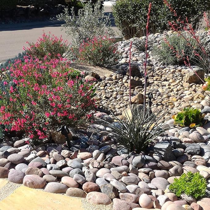 20 lbs Large River Rocks for Outdoor Landscaping, 3-4 Inch Decorative Pebbles for Landscaping Garden Yard Paving Fish Tank Plant Crafting Walkways and Painting