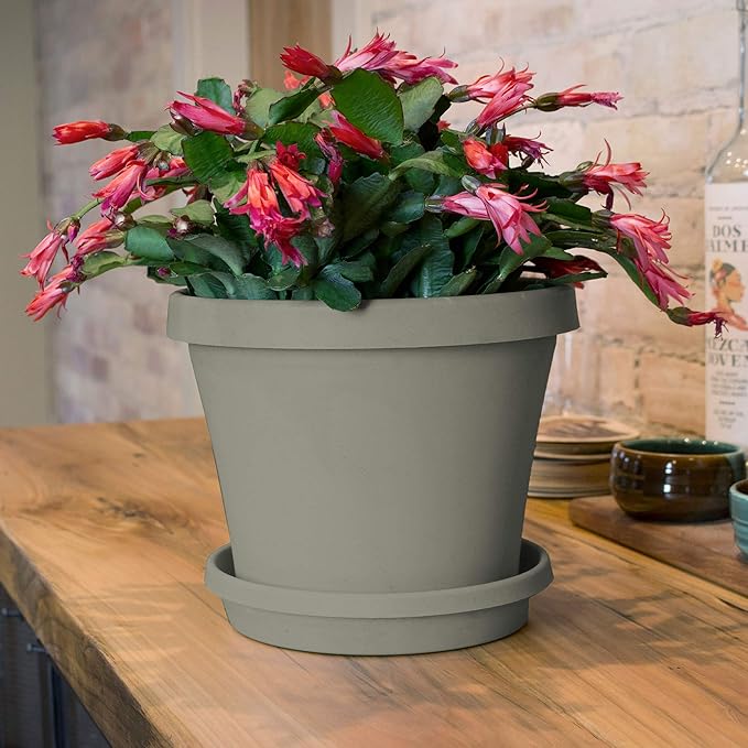 Bloem Terra 8" Diameter Round Pebble Stone Resin Planter Pot with Drainage Holes for Indoor and Outdoor Gardening