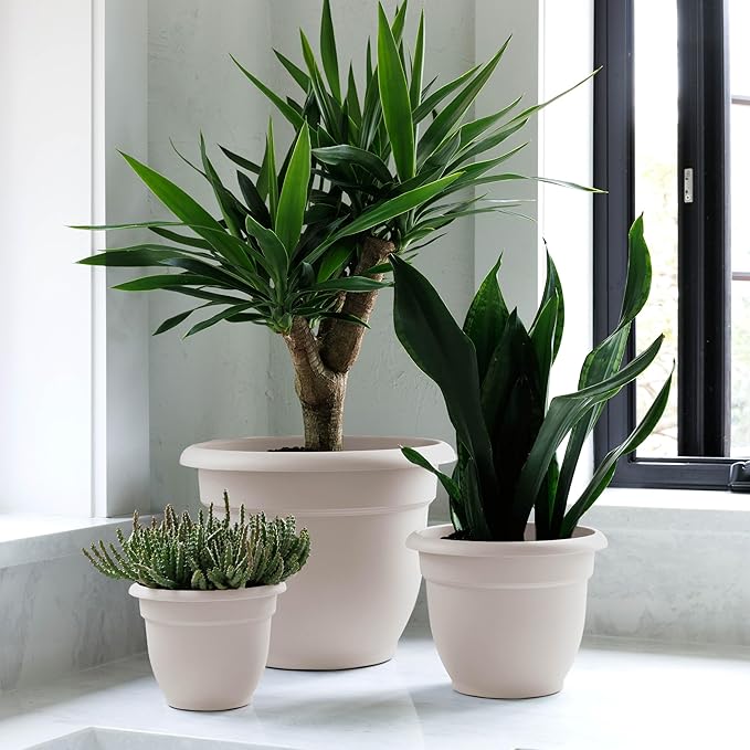 Bloem Ariana 8" Vanilla Bean Round Self-Watering Resin Planter Pot - Rolled Rim Indoor and Outdoor Gardening Planter