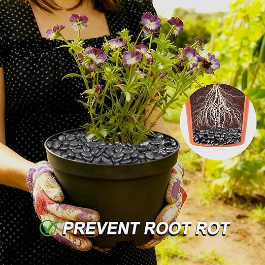 5LB Black Polished River Rocks, 0.5–1.0 inch Small Pebbles for Indoor Plants, Aquarium Rocks, Fish Tank Gravel, Decorative Stones for Planters, Vase Fillers & Landscaping Decor