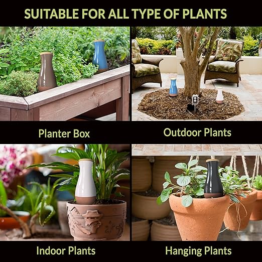 Ollas (Set of 4) | 12oz Terracotta Plant Watering Globes - Self Watering Planter Insert - Automatic Plant Watering Devices | Vacation Watering Pots for Indoor & Outdoor Plants