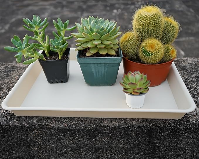 2 Pack Plant Growing Nursery 1020 Trays, Plant Saucer Tray, Heavy Sturdy Seed Starting Trays, Plant Starter Trays for Indoors No Holes, Seed Starter Growing Tray (22"x11.2", Beige)