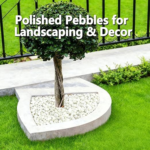 45LB White River Rocks, High Polished Pebbles, 1–2 inch Decorative Rocks for Garden Landscaping, Lava Rocks for Plants, Aquarium & Fish Tank Rocks, Outdoor Decorative Stones & Pathway Design