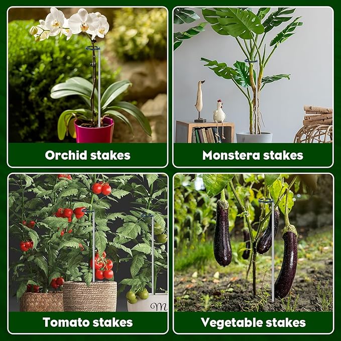 Extendable Monstera Plant Support Stakes, Made of Aluminum Alloy, Tomato Stakes Length Adjust from 17.3" to 32.2", Suitable for Indoor Outdoor Potted Amaryllis Vegetables-7Pack (32.2inches-7Pack)