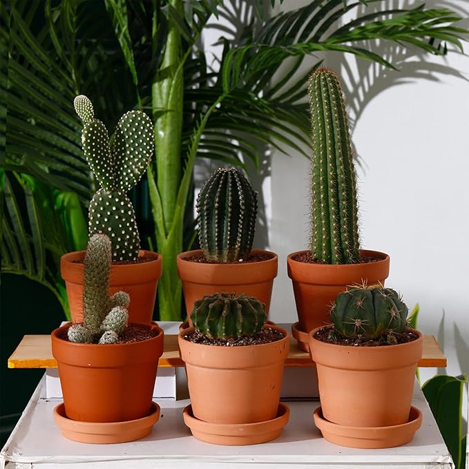 Yishang 7pcs 4.7in Terracotta Pot - Small Round Plant Pot Saucers, Clay Trays, Perfect for 3.5-5in Flower Pots, Drainage Hole, Indoor/Outdoor