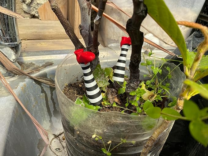 Wicked Witch Legs Mini Plant Pot Decor β Fun Halloween Planter, Spooky Home Decor, Unique Planter for Indoor & Outdoor Plants