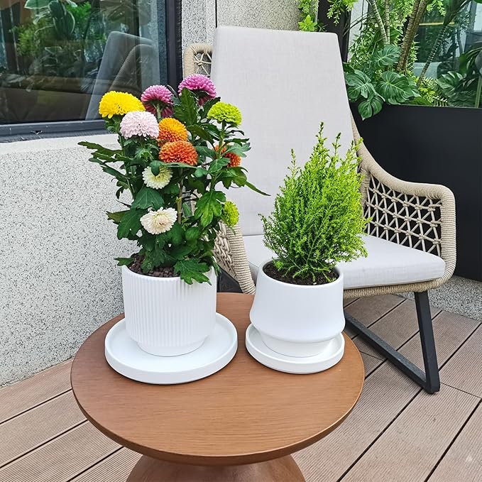 Ceramic Plant Saucer 5 Inch, 2 Pack Round Plant Saucers for Indoors/Outdoors, Flower Pot Saucers for Holding Water Drips and Soil, Ceramic Drainage Tray for Plant Pot(Frosted White)