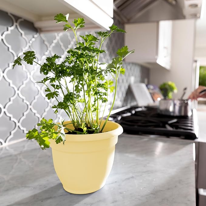 Bloem Ariana 6" Daffodil Round Self-Watering Resin Planter Pot - Rolled Rim Indoor and Outdoor Gardening Planter