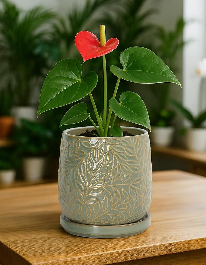 D'vine Dev 5 Inch Embossed Leaves Stoneware Planter Pot with Drainage Hole and Saucer, Olive, 27-A-V-0